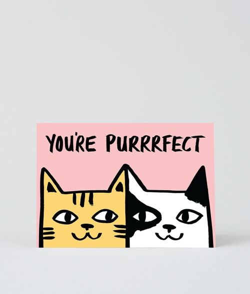 Love & Friendship Card - You're Purrrfect