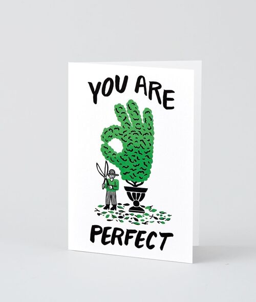 Love & Friendship Card - You Are Perfect