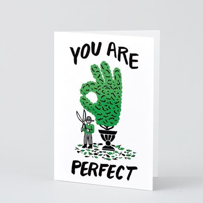 Love & Friendship Card - You Are Perfect