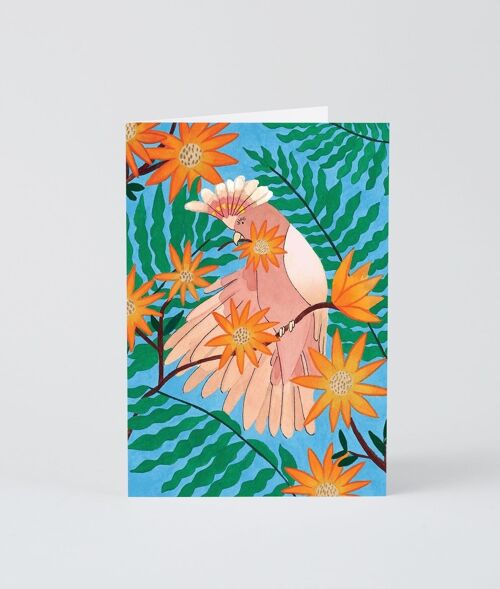 Art Greetings Card - Tropical Bird
