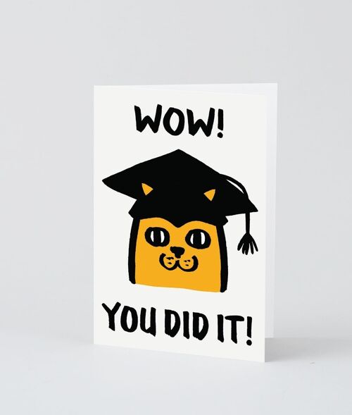 New Baby Card - Wow You Did It