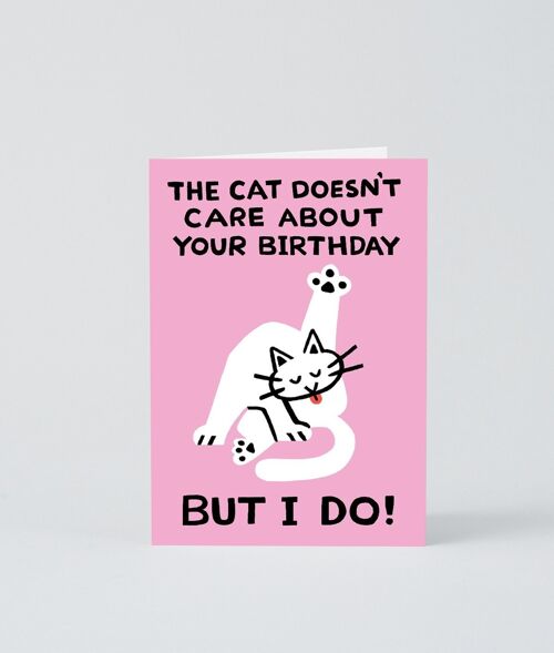 Happy Birthday Card - The Cat Doesn't Care