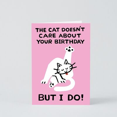 Tarjeta de feliz cumpleaños - Al gato no le importa