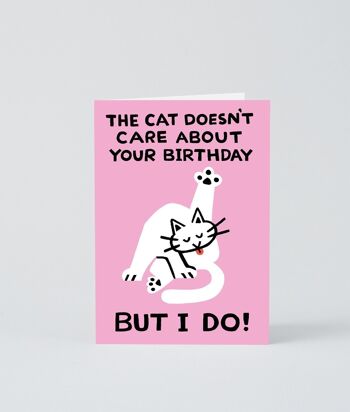 Carte Joyeux anniversaire - Le chat s'en fiche 1