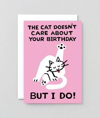 Carte Joyeux anniversaire - Le chat s'en fiche 2