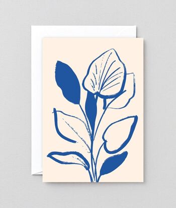 Carte typographique - Lily Study 2