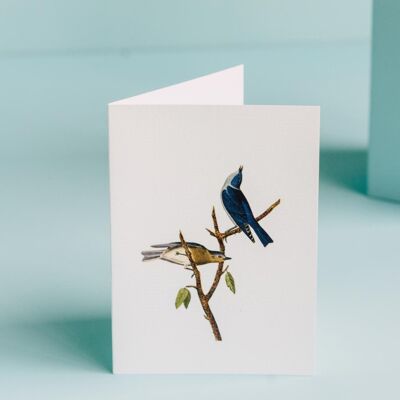 TokyoMilk Blue Birds Greeting Card