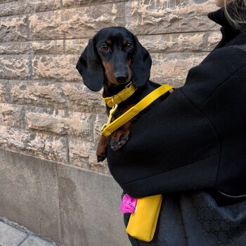 Porte-sac à caca jaune 5