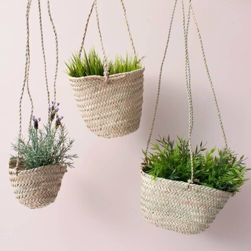 Hanging Baskets