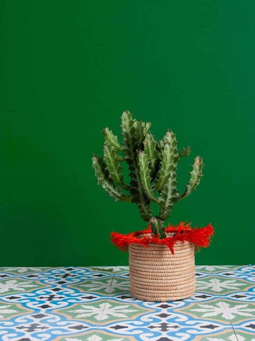 Raffia Tassel Storage Pots (Set of 3), Orange