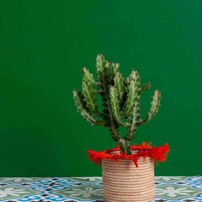 Raffia Tassel Storage Pots (Set of 3), Orange