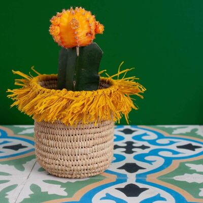 Pots de rangement en raphia Tassel (Ensemble de 3), Jaune