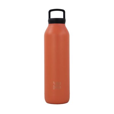 500 ml insulated bottle with Red infuser