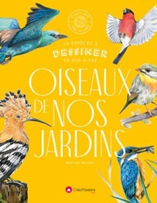 Oiseaux de nos jardins