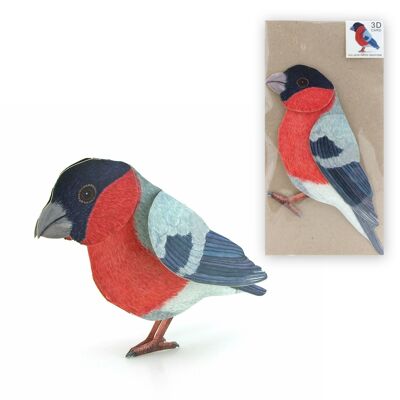 3D animal map bullfinch