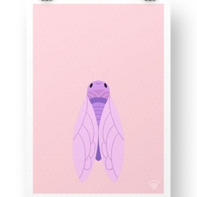 Cicada Poster - Pink