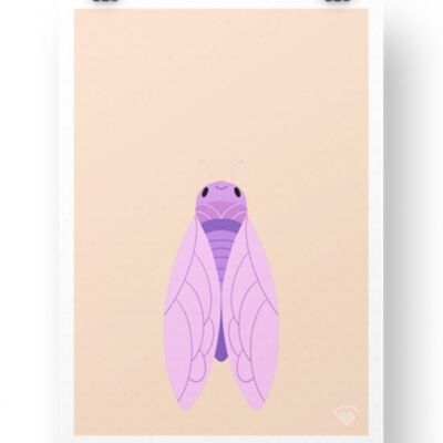 Cicada Poster - Orange
