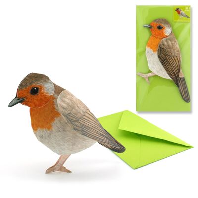 Carte des animaux 3D robin