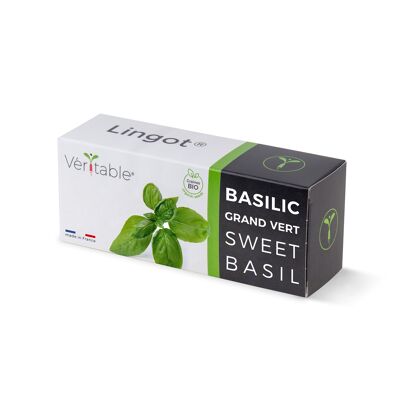 Lingot® Basilic grand vert BIO - Recharge prête à l'emploi