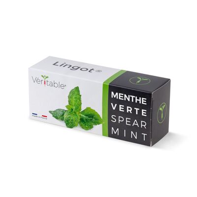 Lingot® Menthe verte - Recharge prête à l'emploi