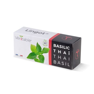 Lingot® Basilic thaï BIO - Recharge prête à l'emploi