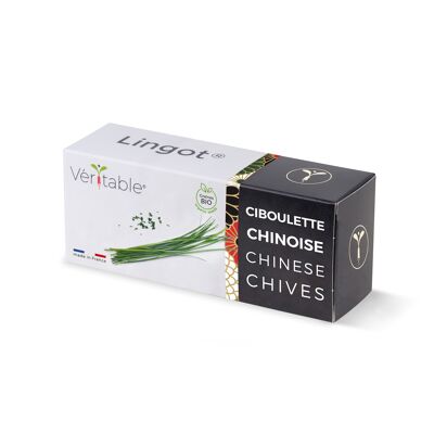Lingot® Ciboulette chinoise BIO - Recharge prête à l'emploi