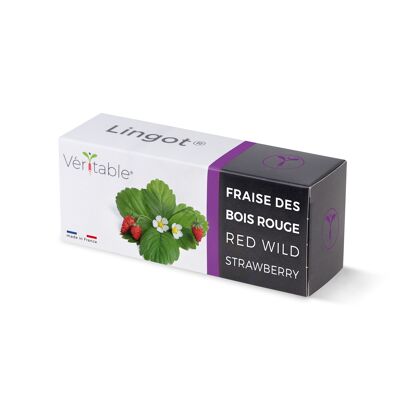 Lingot® Fraise des bois rouge - Recharge prête à l'emploi