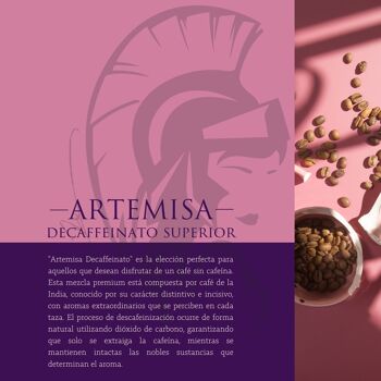 BOCCA DELLA VERITA® - Café italien en grains entiers, saveur ARTEMISA DÉCAFÉINÉ, paquet de 1 kg, café torréfié naturellement et artisanalement 100% fabriqué en Italie, certification Rainforest et UTZ 3