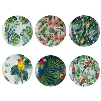 Set of 6 Parrot Jungle fruit plates