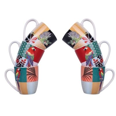 Set of 6 Parrot Groove coffee cups