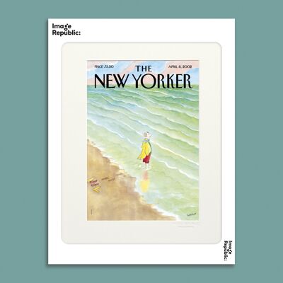 POSTER 30x40 cm DIE NEWYORKER 224 SEMPE WAVES