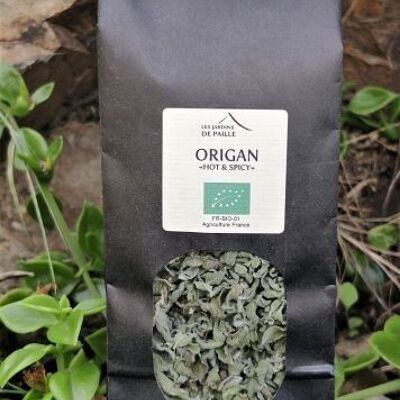 Oregano