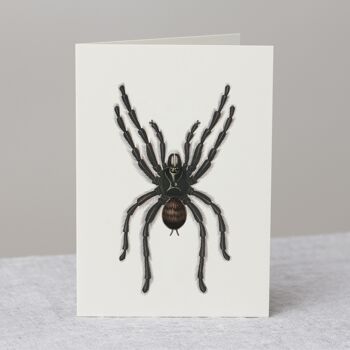 Carte de voeux Tarantula Spider + Enveloppe 2