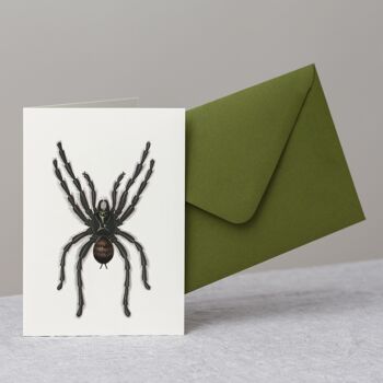 Carte de voeux Tarantula Spider + Enveloppe 1