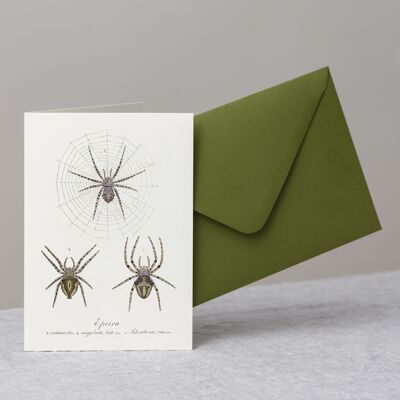 Spiders Greeting Card+Envelope