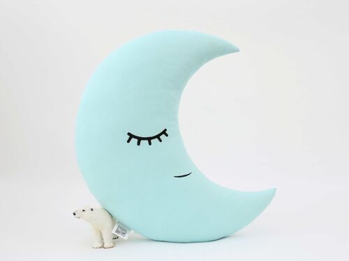 Blue Mint Crescent Moon Cushion