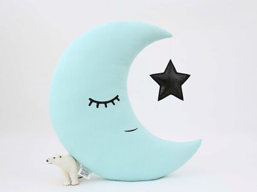 Mint Crescent Moon Cushion With Black Star