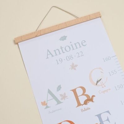 Gráfico ABC personalizable