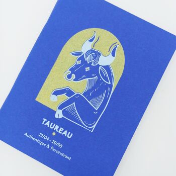 TAUREAU . carnet de notes . 14 X 18 cm 2