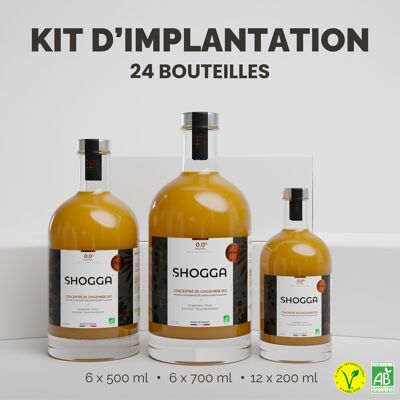 Concentrated ginger/lemon/turmeric juice - organic and artisanal - born in Franche-Comté - SHOGGA (IMPLANTATION KIT) #APERITIF#DETOX#GIMBER BEER#GINGER