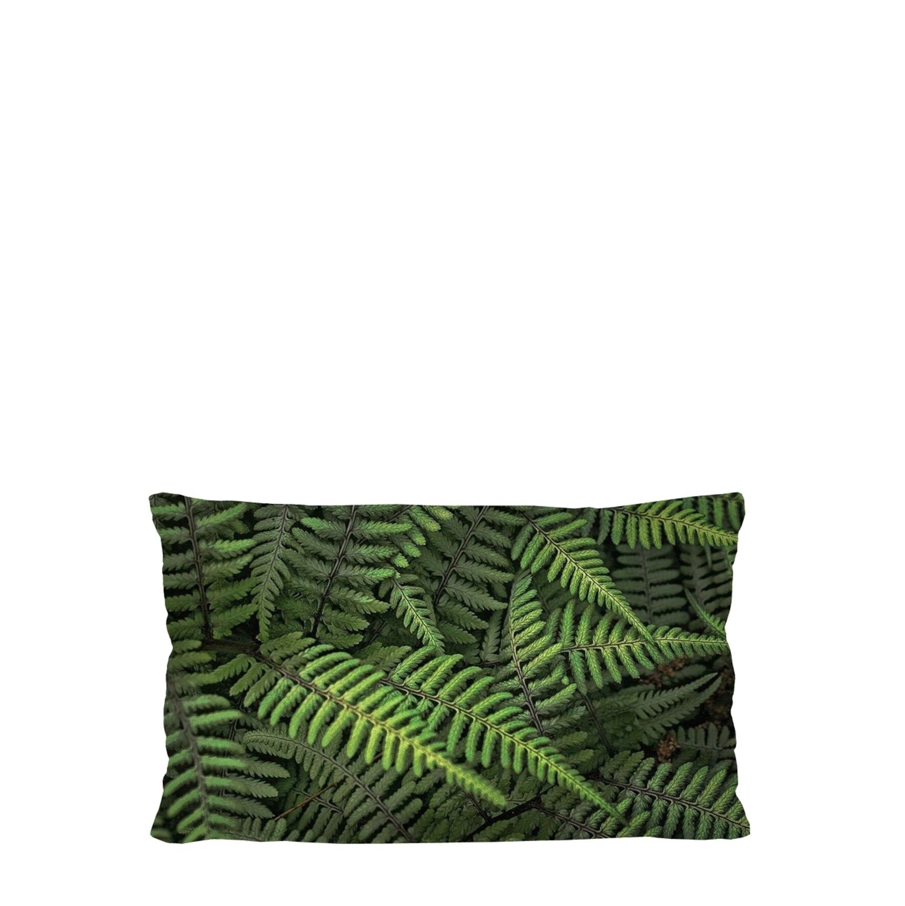 Felci Home Cuscino Decorativo Bertoni 30x50 cm.