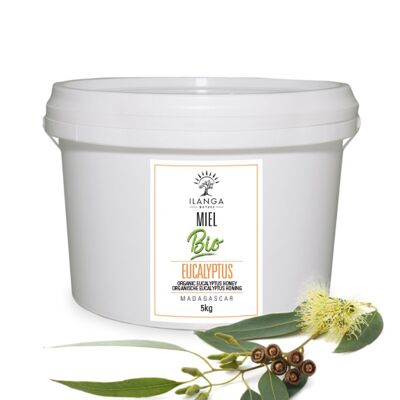 Organic Eucalyptus Honey 5kg