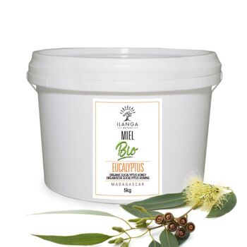 Miel d'Eucalyptus BIO 5kg 1