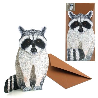 Raccoon 3D animal map