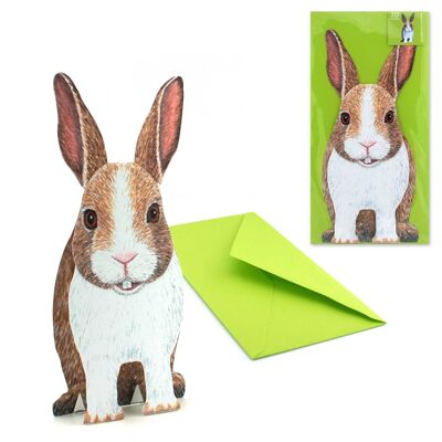 3D animal map rabbit