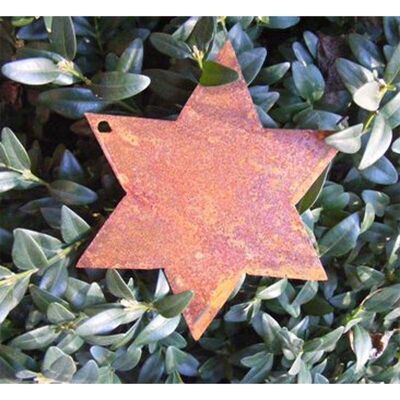 Navidad | Pátina estrella para colgar | 10cm x 10cm