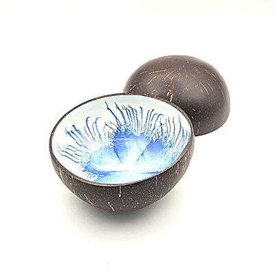 Bowl Coco White background Blue Feather 🪶