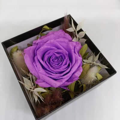 rose éternelle violette boite argenté