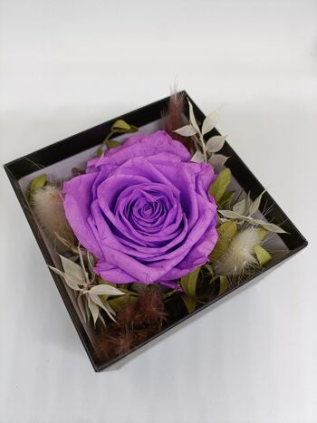 rose éternelle violette boite argenté 1