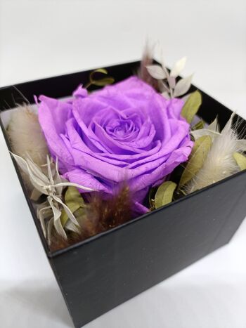 rose éternelle violette boite argenté 2